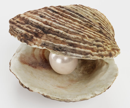 Realistic 3D Render of Pearl in Shellの写真素材