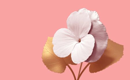 Concept Synthetic Flower Viola On Pink Backgroundの写真素材
