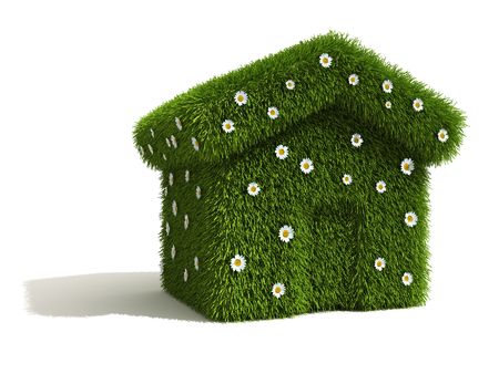 Grass and Flower Covered Houseの写真素材