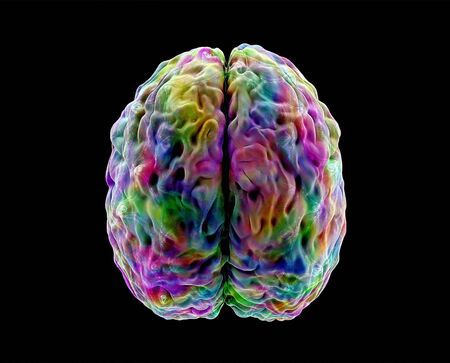 brain activity, colored human brain model, view top, 3d illustration