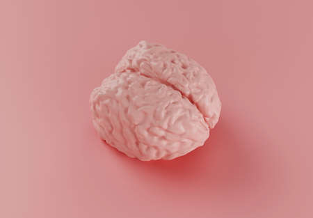 human pink brain model on pink background, minimal concept, 3d illustrationの写真素材