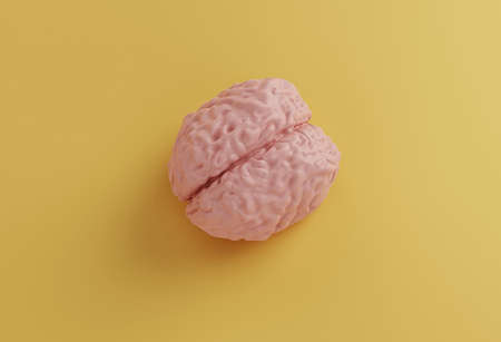 human pink brain model on yellow background, minimal concept, 3d illustrationの写真素材