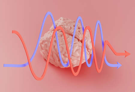 human pink brain model and red blue curved arrows on pink background, 3d illustrationの写真素材