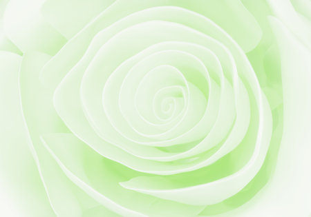 light green pastel Rose close up background, 3d renderの写真素材
