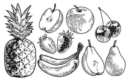 Fruits set hand drawn Illustration.のイラスト素材