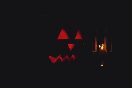 Halloween Pumpkin In A Mystic Forest At Nightの写真素材