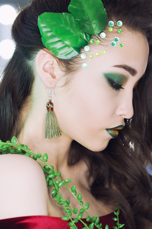 Fashion Brunette Model Portrait. Hairstyle. Haircut. Professional Makeup False Eyelashesの写真素材