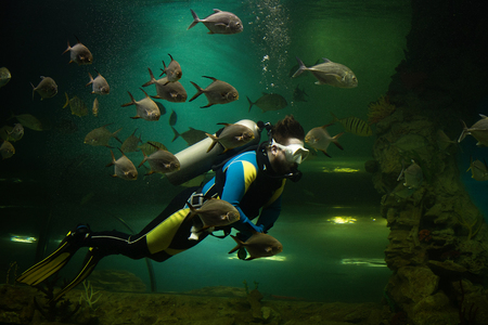 Scuba diver surrounded by fishの写真素材