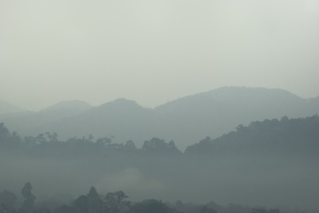 tropical mountain landscapeの写真素材