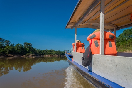 Exploring the rainforrest near the Amazonasの写真素材