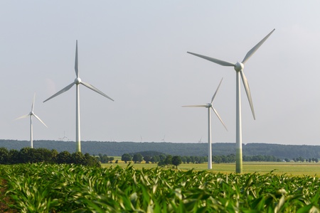 Wind engines between corn field and wood