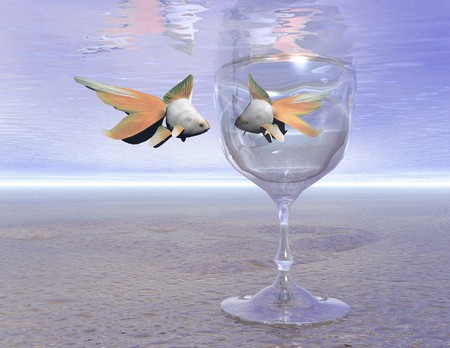 digital composition of fishesの写真素材