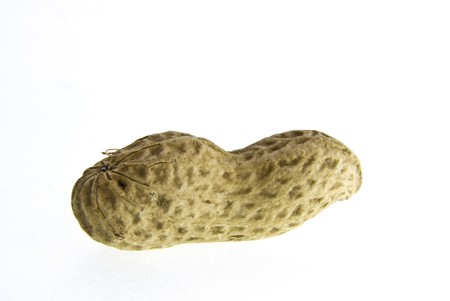Close up of a peanut