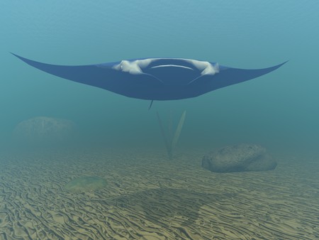 digital visualization of a underwater sceneの写真素材