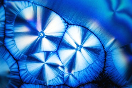 Microcrystals of ascorbic acid in polarized lightの写真素材