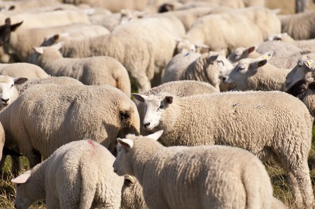 scene in st. peter-ording / germanyの写真素材