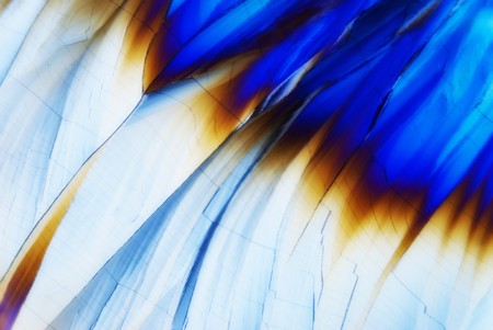 Microcrystals in polarized light