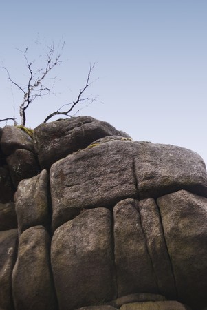 In the Harz Mountains, Germanyの写真素材