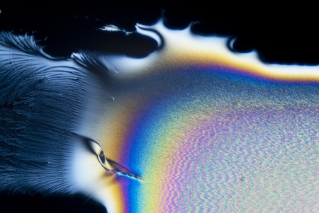 microphoto: microcrystals of ascorbic acid in polarized light