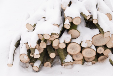 winter scene in schleswig-holstein / germanyの写真素材