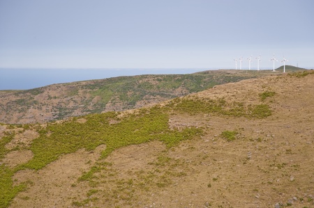 scene in portugal / island of madeiraの写真素材