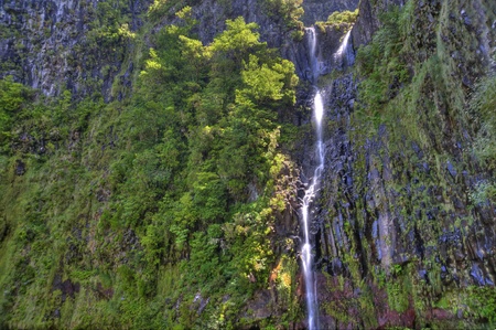 scene in portugal / island of madeiraの写真素材