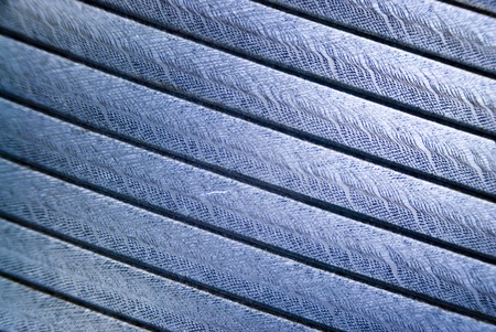 Micro photo of a feather in polarized light