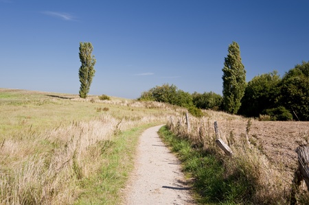 foot path near kiel / germanyの写真素材