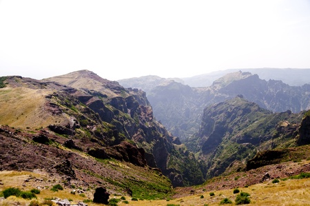 scene in portugal / island of madeiraの写真素材