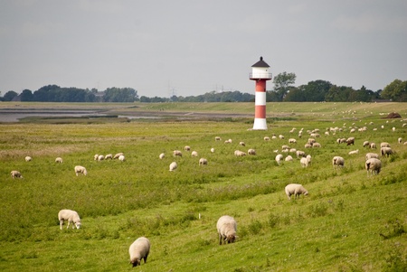 near glueckstadt / river elbe / germany