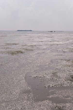 dagebüll / hallig oland / nordfriesland / germany