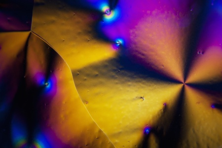 Microcrystals of ascorbic acid in polarized lightの写真素材