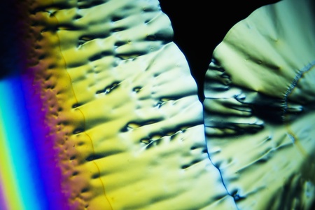 Microcrystals of ascorbic acid in polarized lightの写真素材