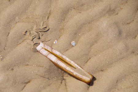 Beach of St. Peter-Ording, Germanyの写真素材