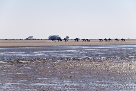 Beach of St. Peter-Ording, Germanyの写真素材