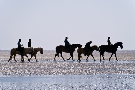 Beach of St. Peter-Ording, Germanyの写真素材