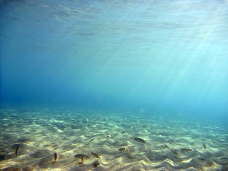Underwaterの写真素材