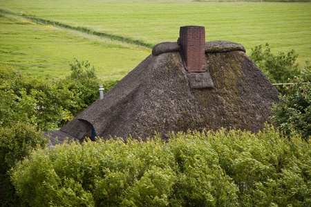 Thatched roofの写真素材