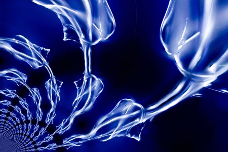 Micro Photo of Glueの写真素材