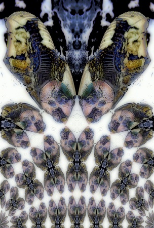 Kaleidoscopic Patternの写真素材