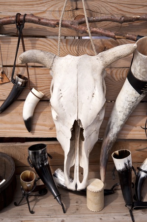 Skullの写真素材