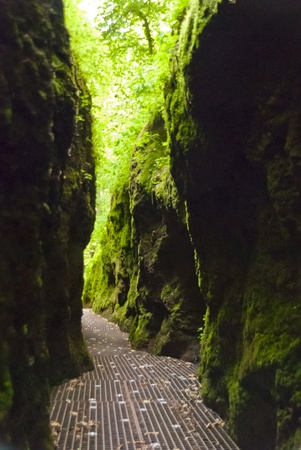 Dragoncanyon in the Thuringian Forest