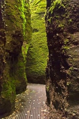 Dragoncanyon in the Thuringian Forestの写真素材