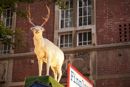 Stuffed Reindeerの写真素材