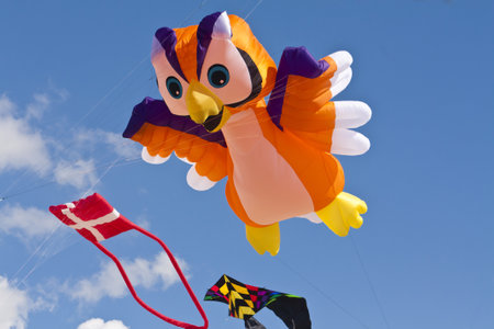 ST.PETER-ORDING, GERMANY â AUGUST 11: Kite Festival on the Beach of St. Peter-Ording in Germany, 2012 August 11.  It was perfect Weatherのeditorial素材