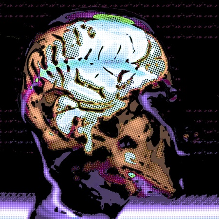 Human Brain