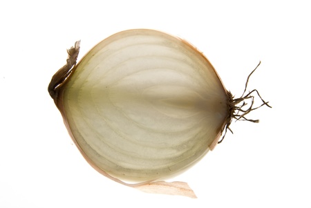 Onionの写真素材