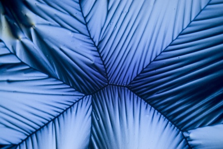 Microcrystals of Ascorbic Acidの写真素材