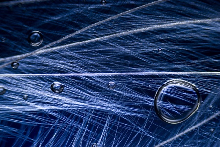 Microphoto of a Featherの写真素材