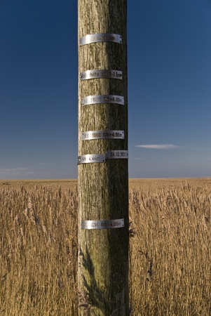 Storm Flood Level